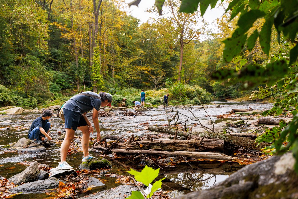 Germantown Friends tweet media