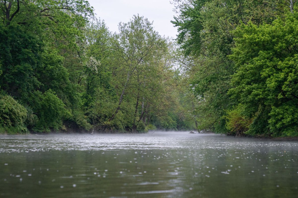Embark on a serene canoe paddle through the heart of the city and witness nature's wonders 🦅🐢

Frank's provides an unforgettable experience guided by knowledgeable staff, ensuring you make the most of your adventure.

Learn more about our excursions: bit.ly/3AL3Hl6