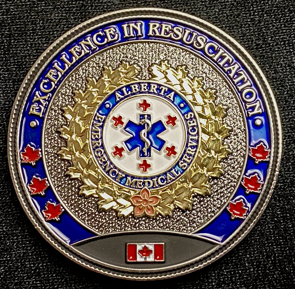 emsfoundation's tweet photo. The #abemsfoundation was proud to sponsor the 2023 "Excellence in Resuscitation Awards" on October 16th, #WorldRestartAHeartDay. Congratulations to all the recipients for their excellent work! #AED #CPRsaveslives #LearnCPR #projectbrock https://t.co/xd99lbYVpA