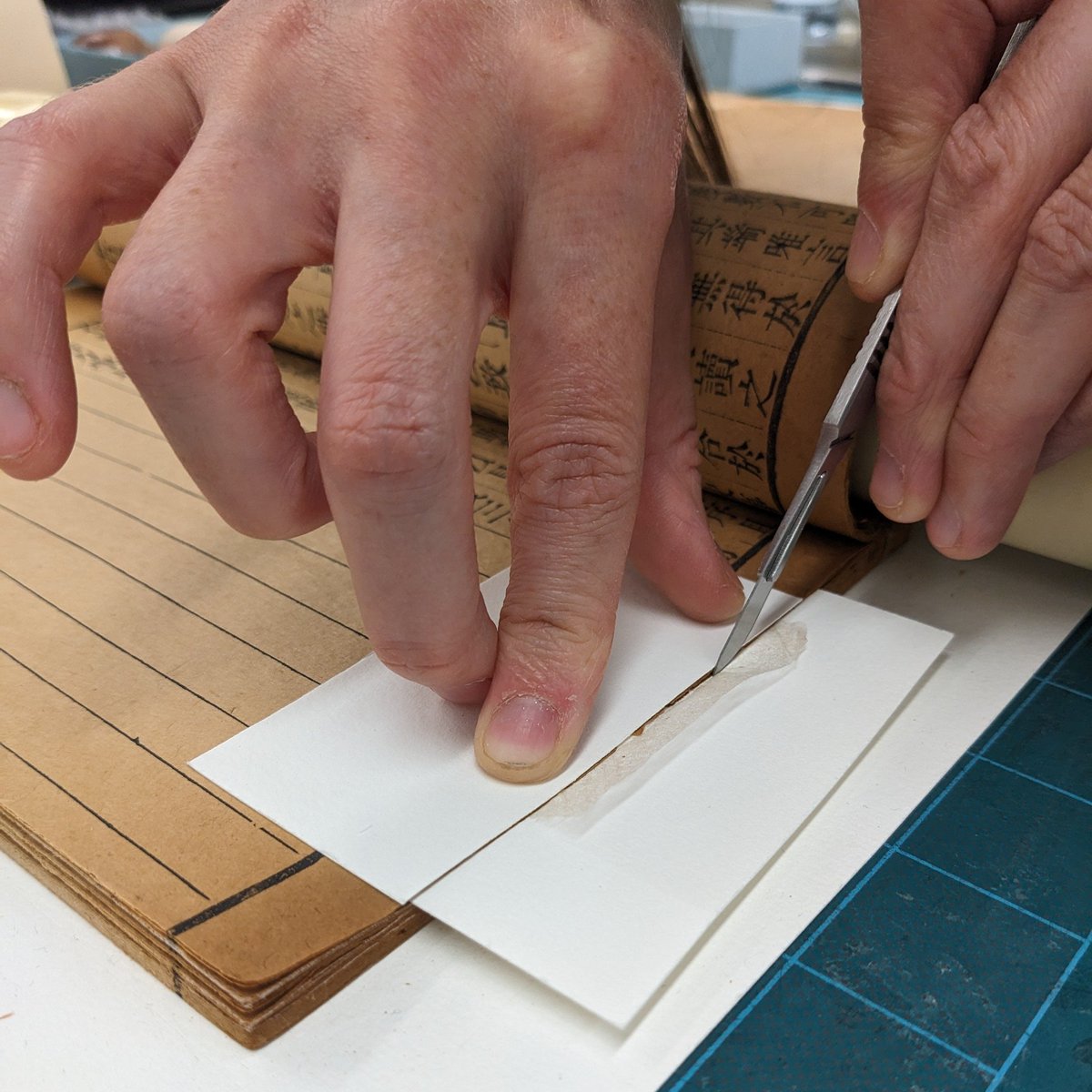 EastAsianLib's tweet photo. 🔖#FromOurCollections Part 1: Conservation for Digitization

💠Displayed is the conservation process on a stitched binding (xian zhuang), where the conservator from the @Fisher_Library reinforces fragile pages with tissue to preserve it's integrity! @EastAsianLib @uoftlibraries https://t.co/Qc1nuPwcdP