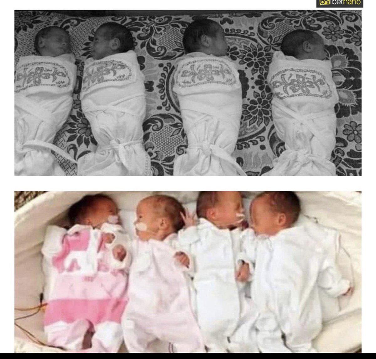 Gazze'nin dördüz şehitleri...

Aile 16 yıl beklemişti onları... Hayata geçen hafta gözlerini açan dördüzler İsrail'in saldırısı sonucu anneleriyle birlikte şehit oldu.