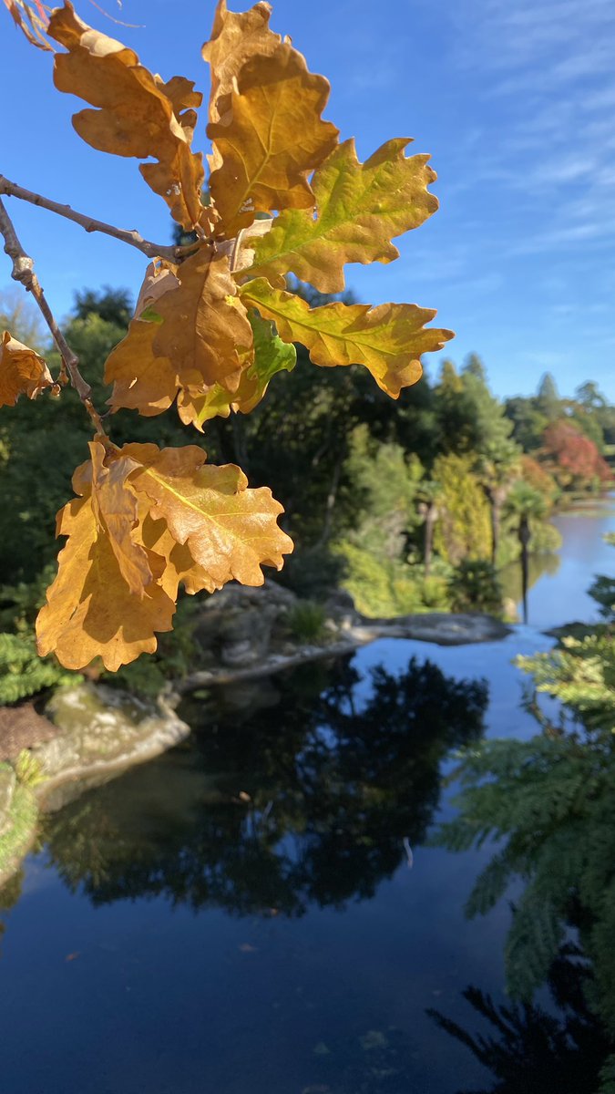 RPOQuinlog's tweet photo. Autumn time at @sheffieldparkNT https://t.co/OpymQXqZYO