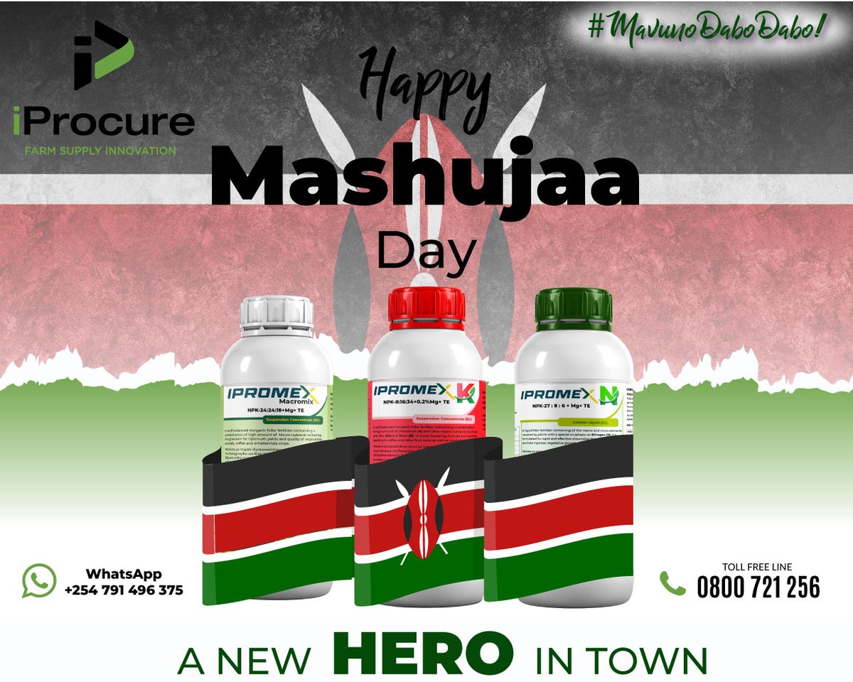 iProcureltd's tweet photo. 🌟Happy Mashujaa Day! 🇰🇪🌟

Embrace the power of growth with iPromex Foliar Fertilizer, the new HERO in town! On this Mashujaa Day, we celebrate the power of growth and prosperity it brings to our fields. Here's to a day of honor and strength!. #MashujaaDay #iPromexHero https://t.co/xDyawCAqqE