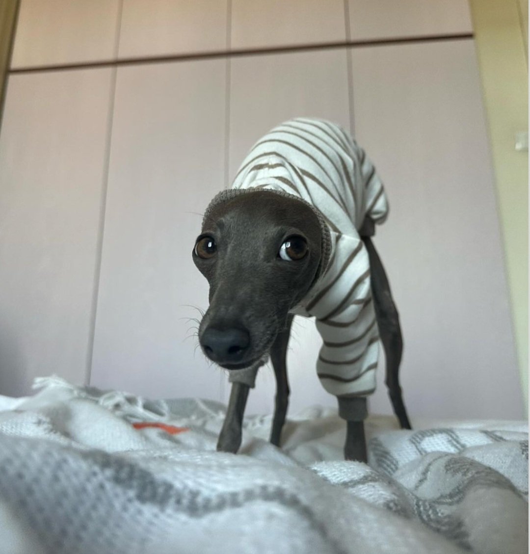 Me when the hoes come around