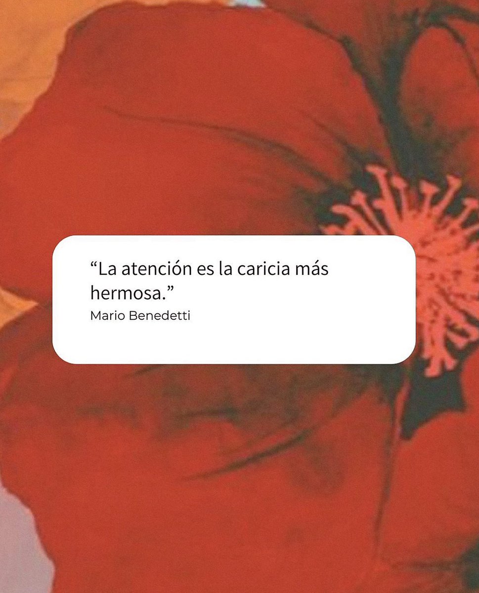 nación (@escritosnacion) on Twitter photo 