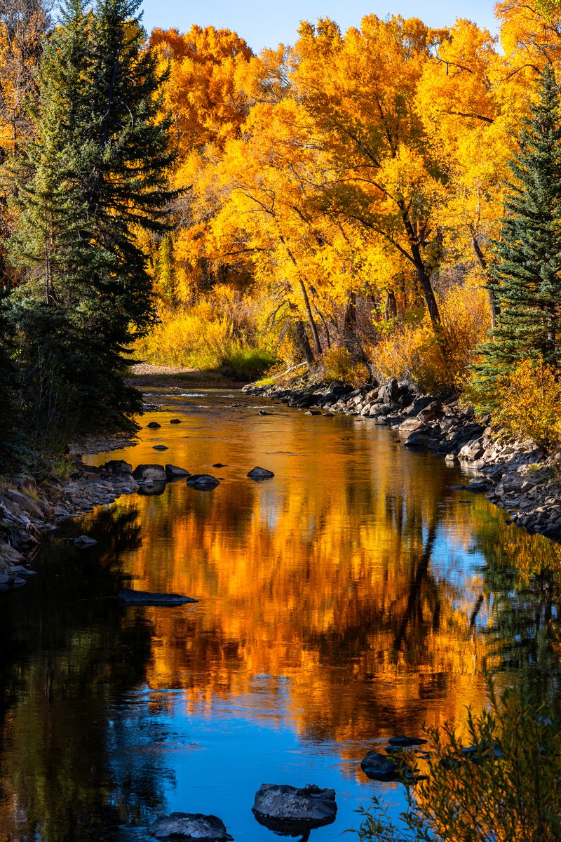 "Fall Reflections" 

📍 Medicine Bow-Routt National Forest

 Photo and caption by Lee Sussman

#Colorado #Wyoming