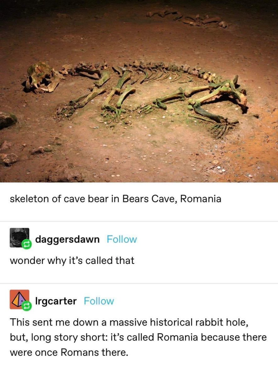 Daily Roman Updates tweet media