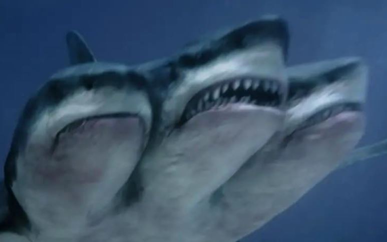 FilmsQuirky's tweet photo. #3HeadedSharkAttack (2015) 🦈
As a mutated, three-headed, great white shark eats its way from one end of the ship to the next, the passengers have to fight the deadly predator using anything they can find.
#CreatureFeature #FilmsWithBite
#FilmX 📽️ 🎬 https://t.co/LxKrxo45H9
