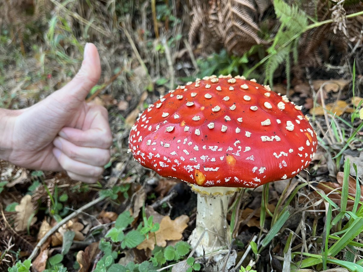 Simon Wright tweet media