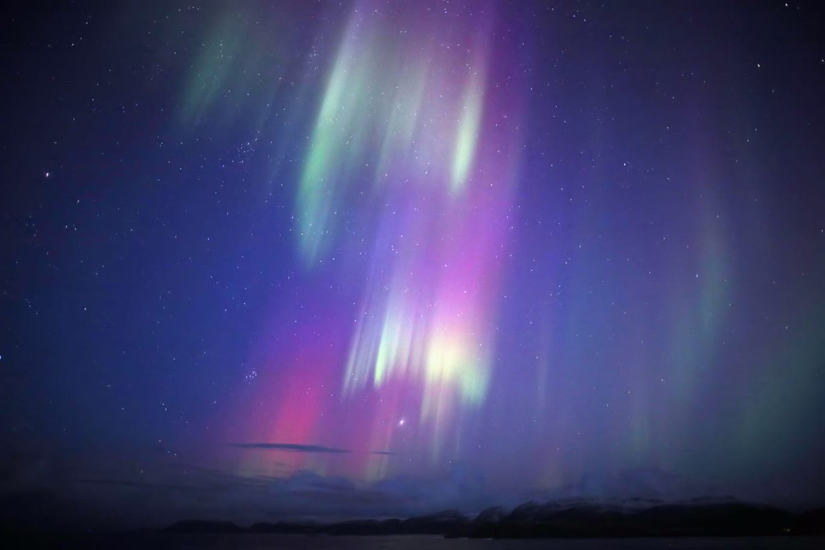 Some spectacular photos taken by our onboard Astronomer Dr John Mason on his recent sailing onboard Nordkapp 😍 #northernlightsseason