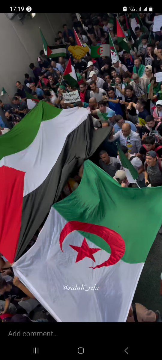 lboutemeur0's tweet photo. #FreePalestine 🇵🇸❤️🇩🇿 https://t.co/nSyETVwBE1