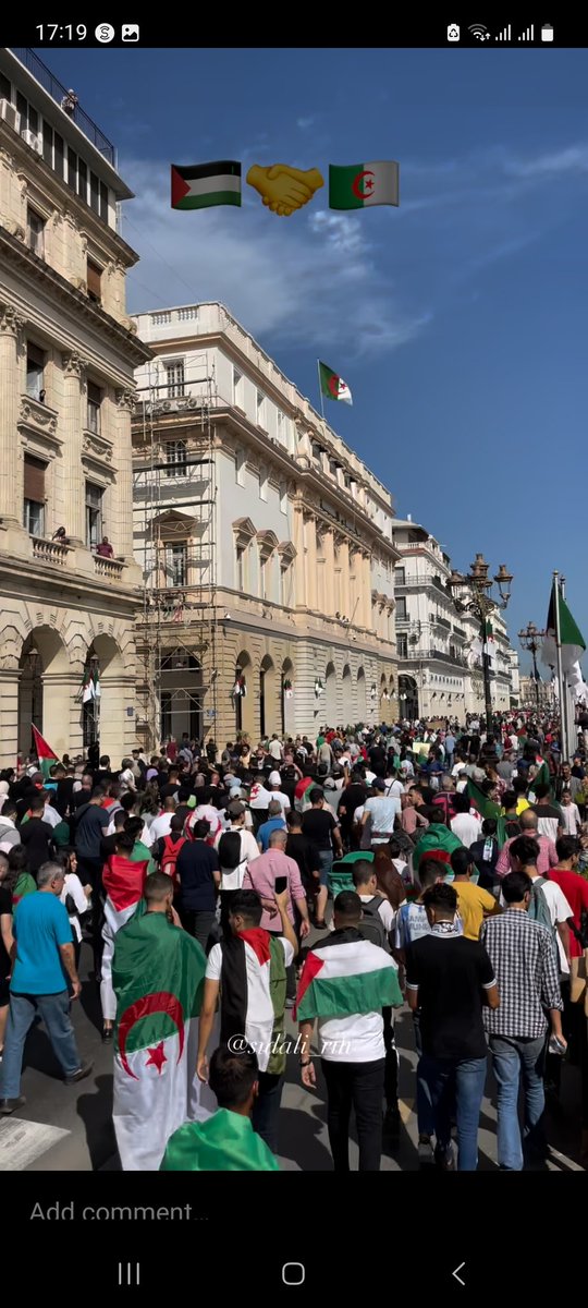 lboutemeur0's tweet photo. #FreePalestine 🇵🇸❤️🇩🇿 https://t.co/nSyETVwBE1