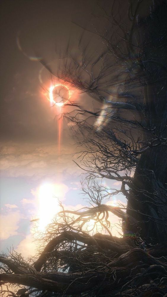 berserksouls's tweet photo. the best place to see the eclipse https://t.co/FSEMXyN0f3