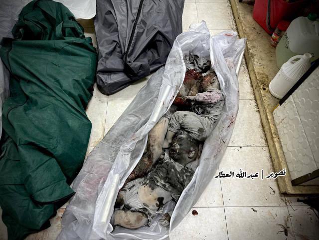 saraalkhateeb01 tweet picture