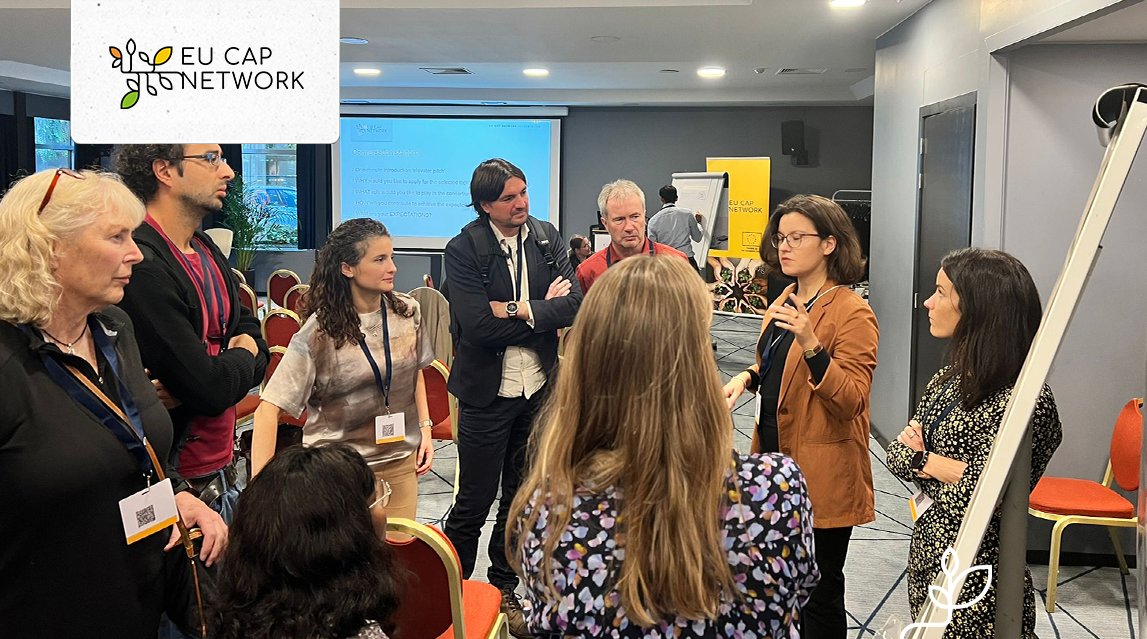 Breakout sessions! 8️⃣calls to discuss 2️⃣2️⃣ multi-actor approach topics. EC Policy officers introduced all calls. Participants discuss per topic about reasons, interests, roles, contributions and more. All topics available here: ow.ly/AIbO50PYGjg