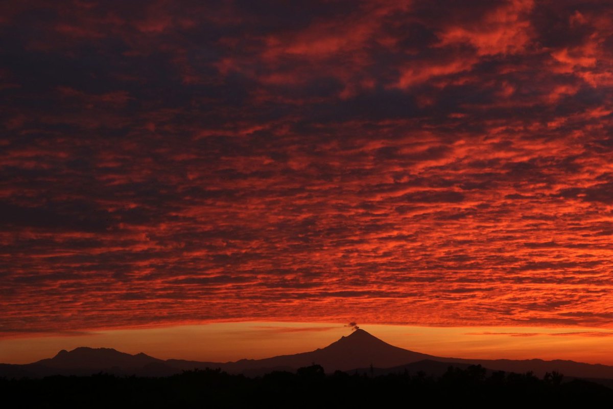 El_Universal_Mx's tweet photo. ¡ESPECTACULAR AMANECER!😍 

🌅 Así se vio el amanecer desde la ciudad de Cuernavaca, donde se observan los volcanes Popocatépetl e Iztaccíhuatl con un cielo lleno de nubes que se tiñen de colores naranjas. 

📸 FOTO: CUARTOSCURO https://t.co/delSPpqxbF