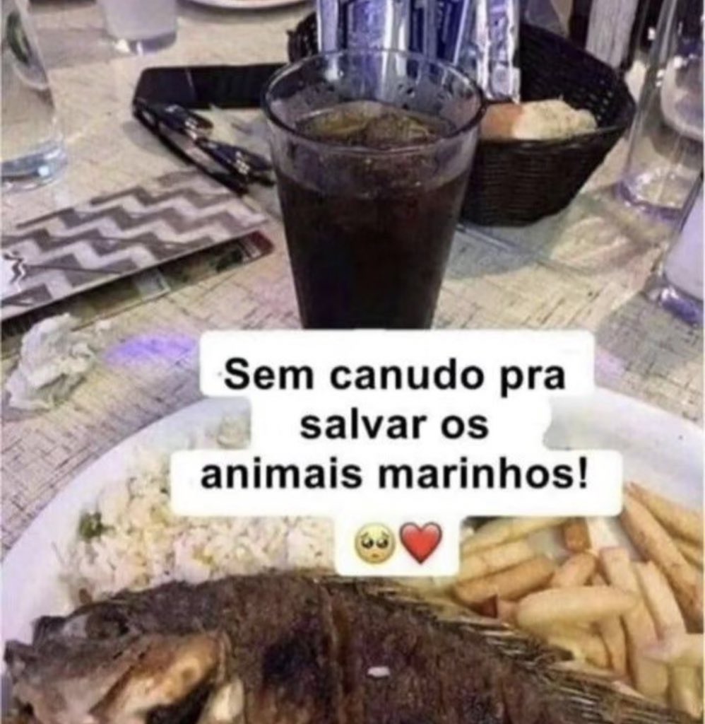 shitpostverdade's tweet photo. https://t.co/29i8THyCaj