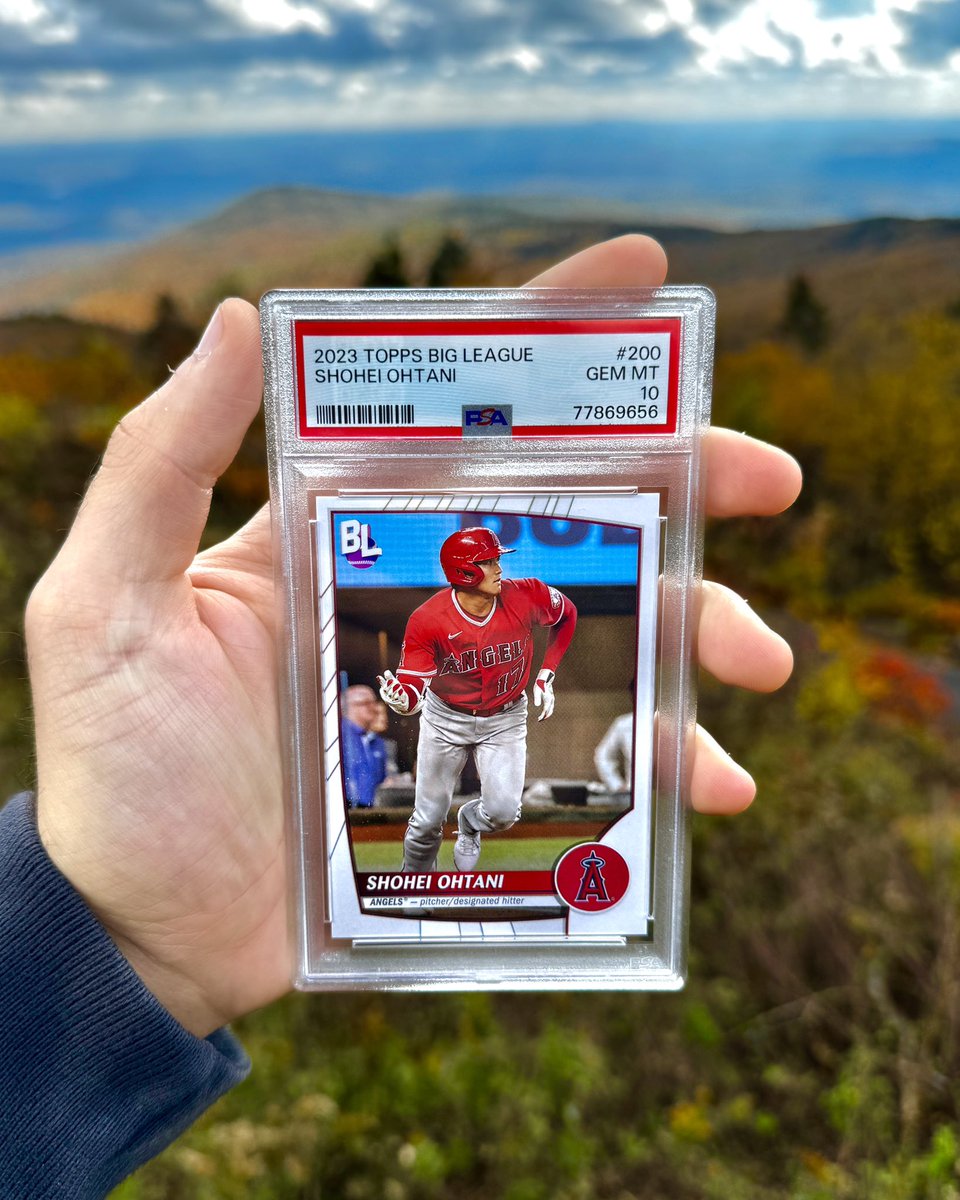 The Collectibles Guru tweet media