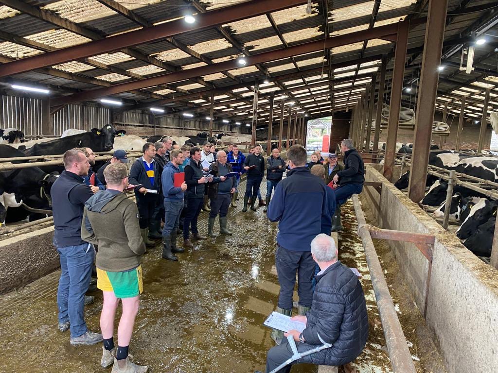 LallemandUK_IRL's tweet photo. Our ‘Cow Signals’ training series with @DairyDiagnosis concluded today in Meifod, Powys✨
Our regional business manager, @AnwenEdsJones, said over 30 farmers joined today’s session and benefited from valuable insights and tips for optimal herd heath 🐮 #cowsignals https://t.co/LzNlGhCLui