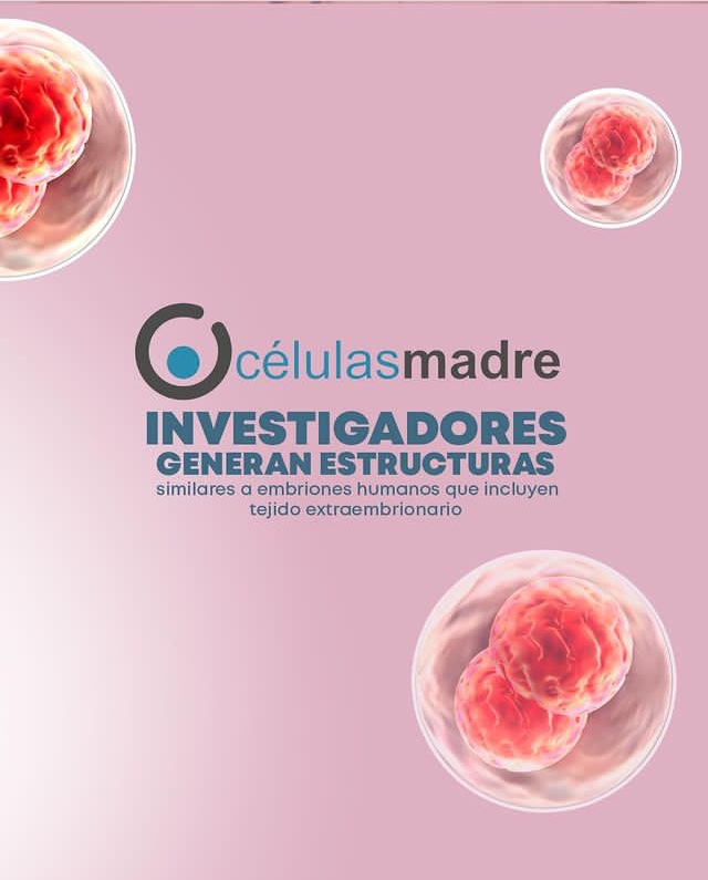 celulasmadrela's tweet photo. La gastrulación, el proceso en el que un embrión se reorganiza de una esfera hueca a una estructura de varias capas, se considera una "caja negra" del desarrollo humano. Esto se debe a que los embriones humanos generalmente no se cultivan durante más...
👇🏼
https://t.co/TV6SgC8lTM https://t.co/VcJUrK5gxS
