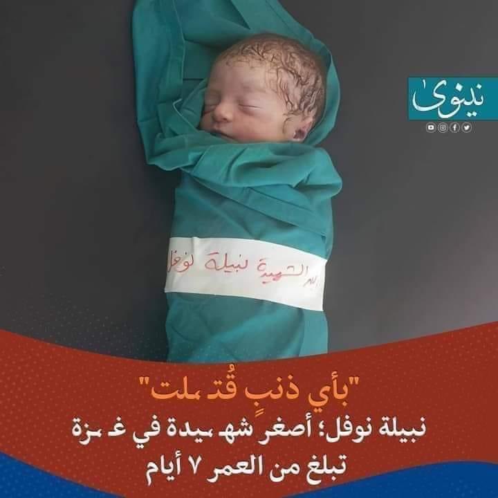 GinodeRobles's tweet photo. Nabila Nauwfal...
7 dagen oud. Als zij geen naam krijgen, vertaal ik het en doe ik het wel. Het jongste slachtoffertje.
Rust zacht poppetje.
#givethemnames #remembertheirfaces https://t.co/VUvqfS7jD7