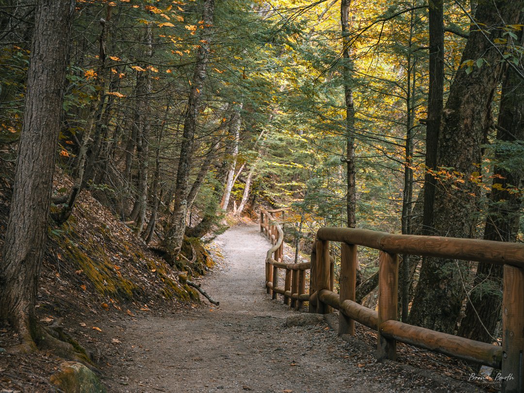 BrendaWBarth's tweet photo. I love a good hike in fall. #outsideismybestside #nikon #nikonusa #nikonz6ii #nikonphotography #nikonphoto #nikonoutdoors #adventure #explore #exploremore #neverstopexploring #hike #hiking #trail 
#trails #landscape #travelphotography #nature #naturephotography #naturephoto https://t.co/Xk3OnGMhLB