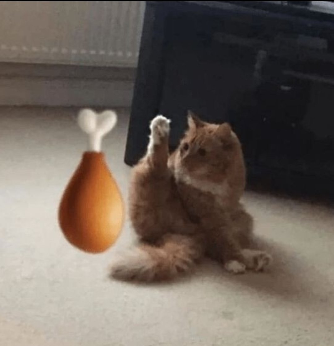 Catsillyness's tweet photo. https://t.co/eZc7GEZPwp