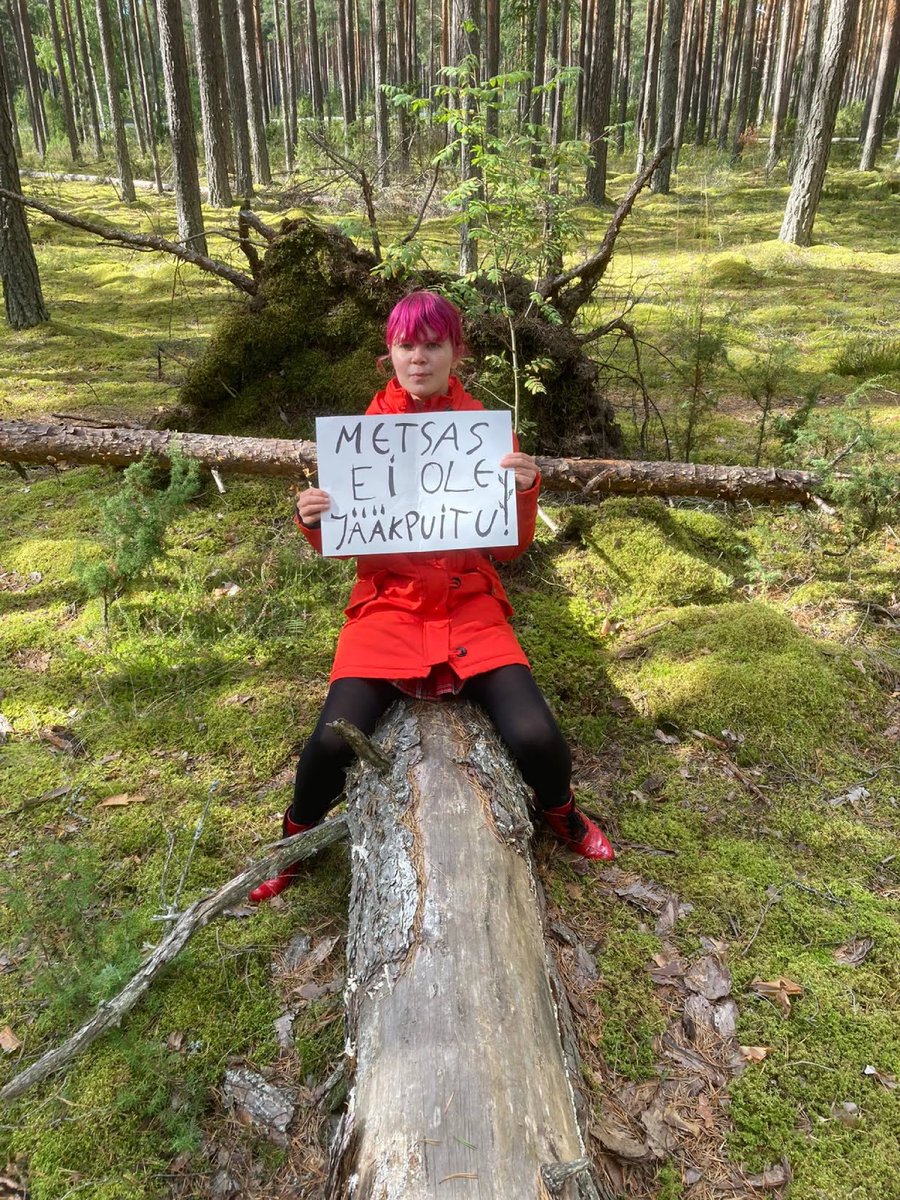 kaiakonsap's tweet photo. The sign says - there is no 'leftover' wood in the forest. Forest is an ecosystem, nothing gets wasted there. Stop lying, greenwashing and burning forest biomass as renewable energy source. Protect biodiversity instead #BigBadBiomass #COP28 https://t.co/Pg9j2EUE4v