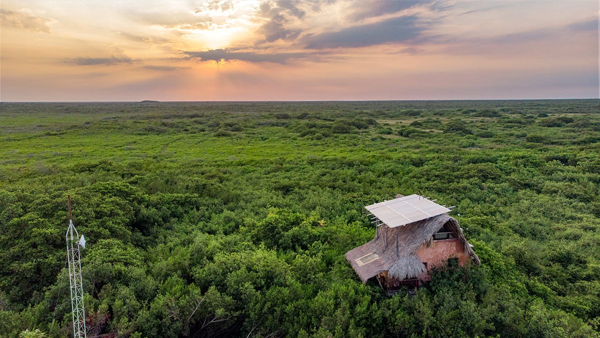 Hempcrete and bamboo ecotourism treehouse, Tulum, Mexico. Photo courtesy of Heaven Grown 
<a href="/jeanlotus/">Hempcrete Queen</a>
<a href="/hemp_build/">HempBuild</a>
<a href="/haepenny/">Haepenny Hemp</a>
New Hemp Building Directory 2023 from Hempbuild Mag available below:  hempbuildmag.com/directory-2023 #healthyhomes #hemphouse #industrialhemp #hempbuilding
