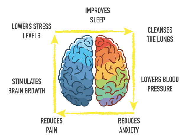 Workout Tip:

When you finish a workout do a few rounds of Box Breathing.

Here's why...

When you exercise you put yourself in a stressed out state (aka. sympathetic).

To speed recovery and decrease stress we want our bodies to be in a relaxed state (aka. parasympathetic).

The