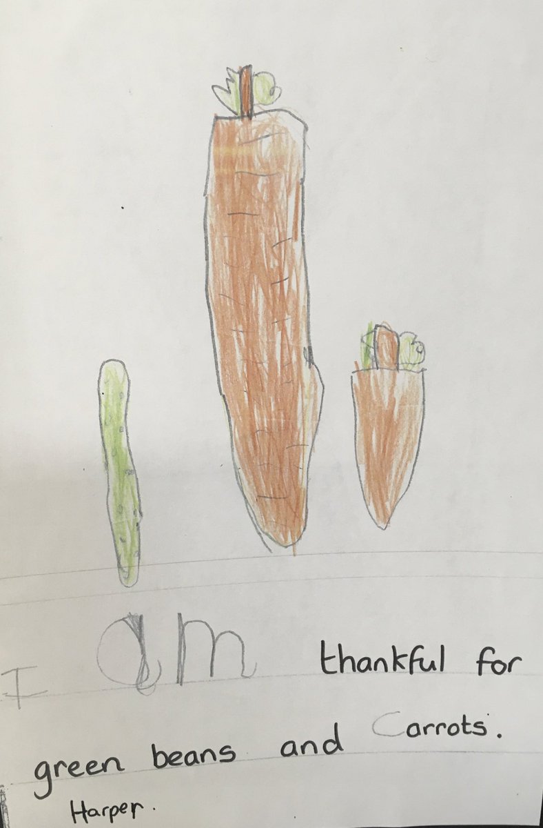 MrsPBHPS's tweet photo. Dosbarth derbyn have been very thankful this week. We are thankful for many things including food, toys but most of all, our families @BeaufortHillPri https://t.co/U7kjGi9OzV