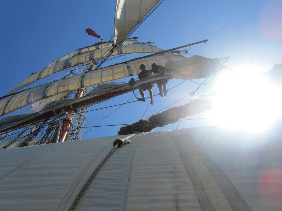 AnotherWorldAdv tweet media