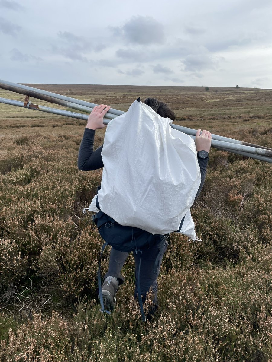 Kerryn Little tweet media