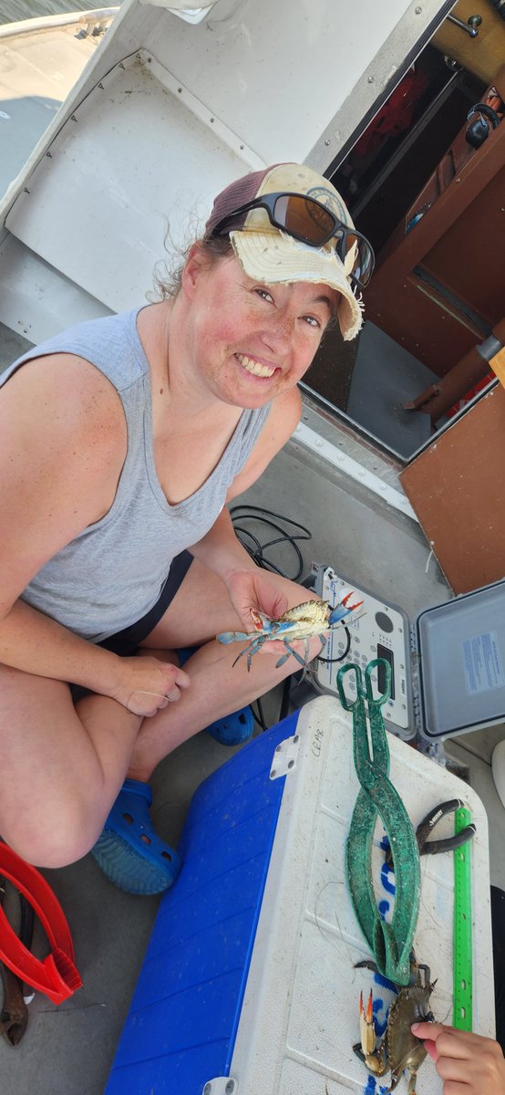 SERC Fisheries Conservation Lab tweet media