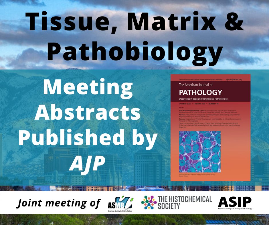 The Tissue, Matrix & Pathobiology Meeting Abstracts are published in an online supplement of @AJPathology! Check them out here bit.ly/45EFDgK #SLC2023 @histochemnews @amsocmatbio