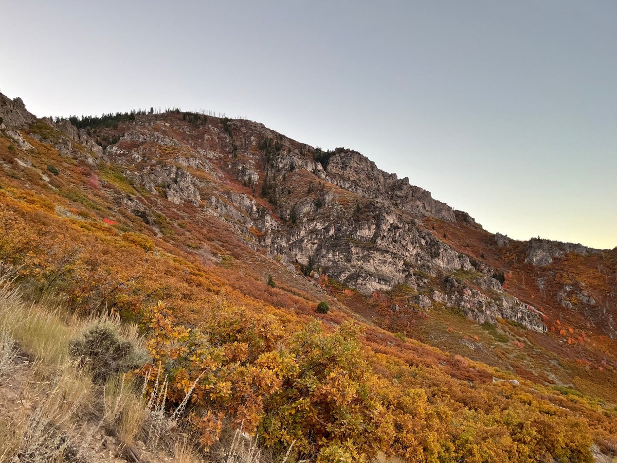 beautiful fall in Provo