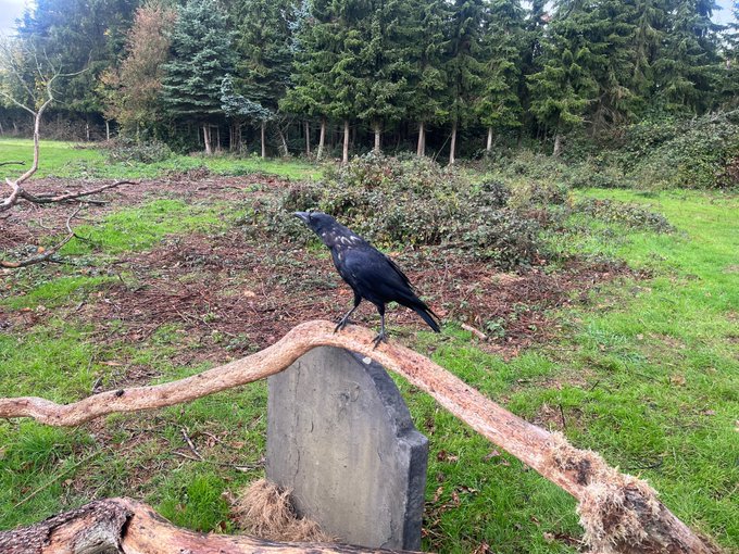 #TheBurningGirls comes out on #paramountplusuk today! Here&rsquo;s more bts shots of some directing I got to<a href="/tag/theburninggirls"class="tags">#TheBurningGirls</a><a href="/tag/paramountplusuk"class="tags">#paramountplusuk</a><a href="/tag/paramountplus"class="tags"><span>#paramountplus</span></a>