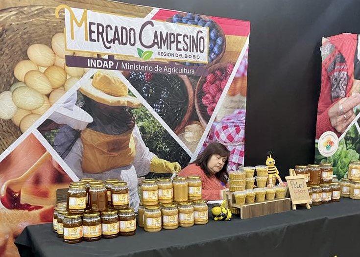 IndapBiobio's tweet photo. 🌻 Los aromas y colores del campo llegaron al tercer piso de @mallcentroconce en el #MercadoCampesino de @IndapBiobio 👨🏼‍🌾🧑🏻‍🌾
👀 Podrán encontrar: plantas, flores, ornamentación y productos agrícolas. 
📆 Del 19 al 22 de octubre ⏰ Entre 10:00 y 19:00 horas.🌷🥬🐝@INDAP_Chile https://t.co/wRhY20niXK