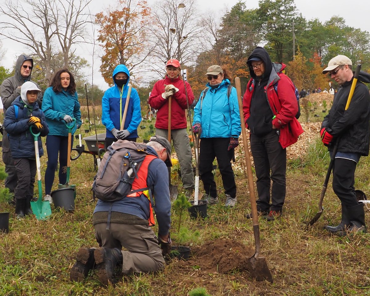 RougePark's tweet photo. Big thanks to all the incredible volunteers for making the @10ktrees planting event on Sunday a huge success and a whole lot of fun! 🌳🌟 Your hard work is helping our planet thrive, one tree at a time. 🌿🙌
📷 Gary James https://t.co/uoljWSX3nd