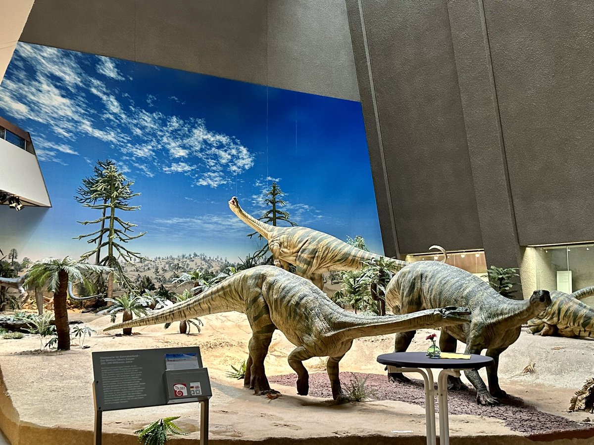 Participación Edwin Cadena 8th International Meeting on Mesozoic Fishes and Aquatic Tetrapods, 
July 10–14 2023, Stuttgart, Germany. Con el apoyo de Programa de Expertos Internacionales de ICETEX, Colombia