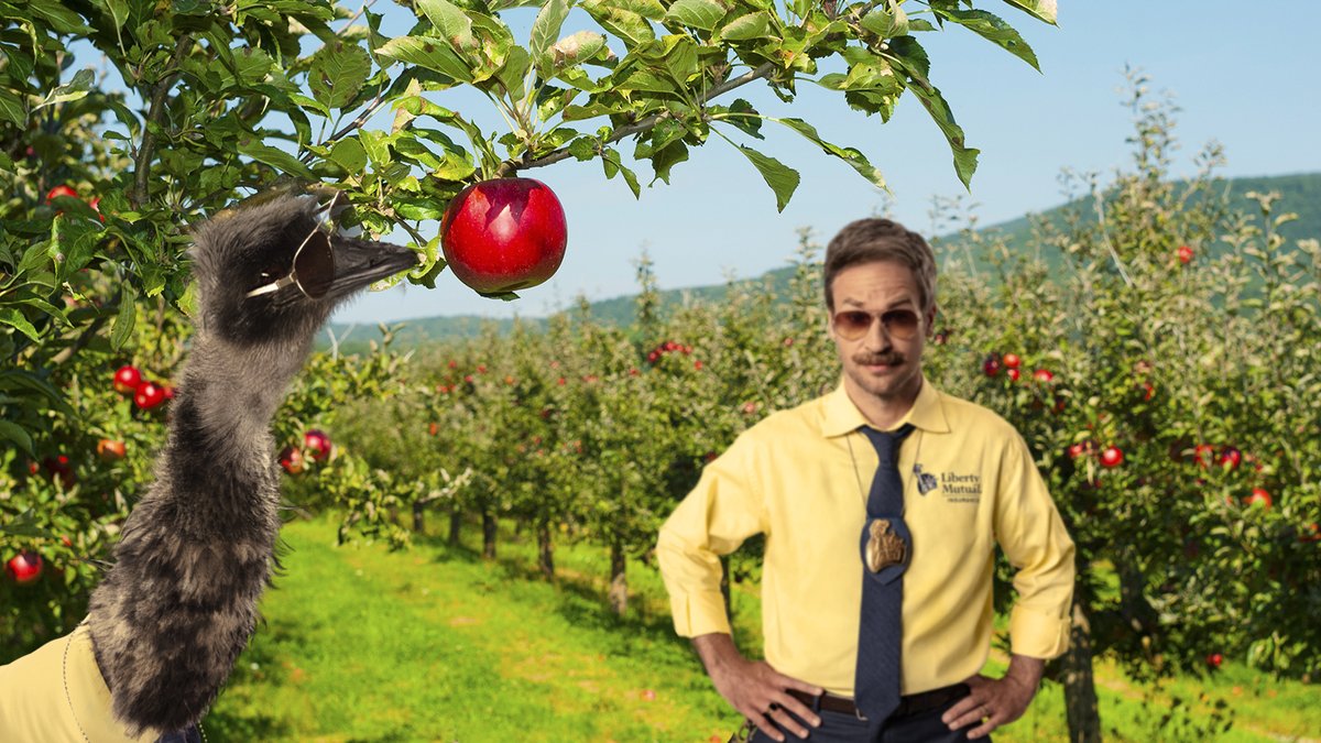 I told LiMu we were going apple picking and he thought I said apple “pecking.” Soooooo this is my life now.