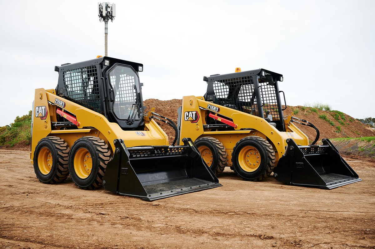 Mustang Cat tweet media