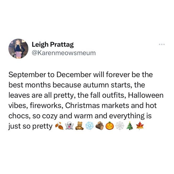 beauty_works's tweet photo. best time of year 🎄🎃✨ https://t.co/mf2K87jq0b