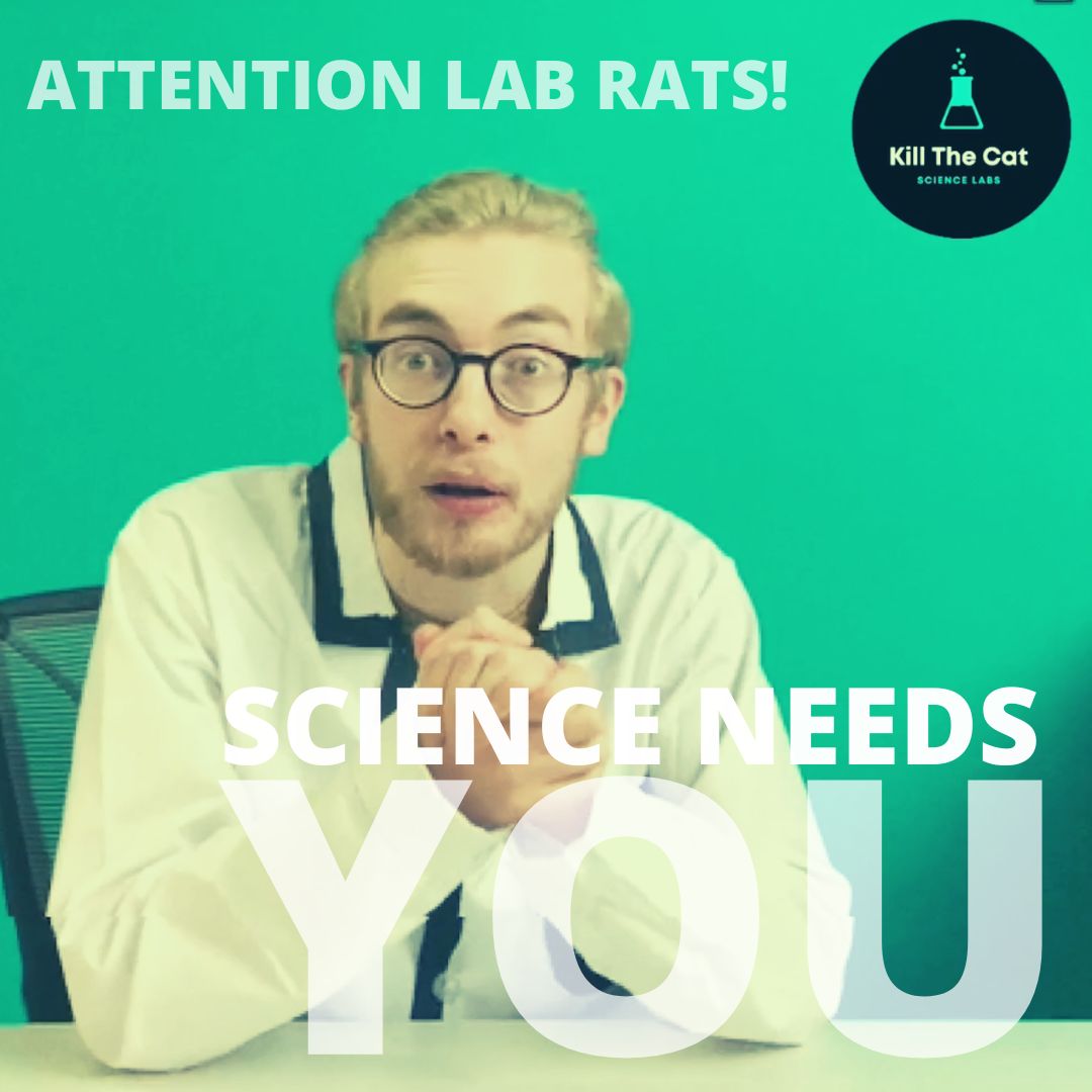 Kill The Cat tweet media