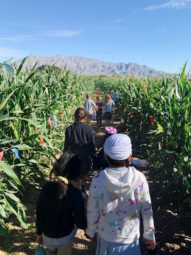 MHSDurango's tweet photo. Field trips are always a hit at Merryhill School!🚌 Our recent adventure to Gilcrease Orchard was an absolute blast! 🍎🌽 The students loved picking their own fruits and veggies! 🥕🍓 Who knew learning could be this delicious?! 😋 #MerryhillSchool #MerryhillSummerlin #SummerlinLV https://t.co/tYlHxRDuGm