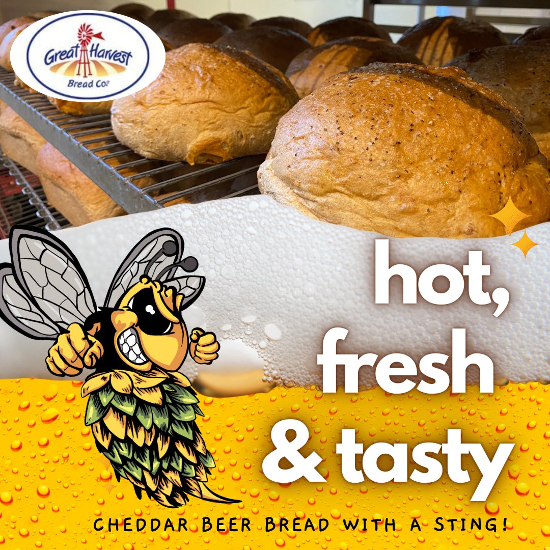 KinneyCreekBrew's tweet image. Our staple IPA, Yellow Jacket, is now available as a cheddar beer bread! Stop on over to Great Harvest Bread Co. Rochester, MN and pick up some YELLOW JACKET beer bread today! 🐝

Hot, fresh and tasty!

#beerbread #bread #greatharvest #ipa #brewery #mnbrewery #beer #craftbeer