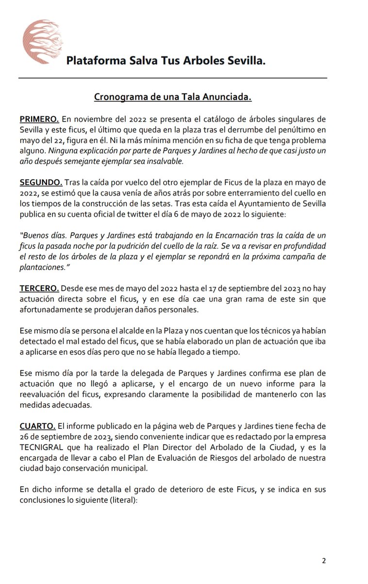salvatusarboles's tweet photo. Comunicado de la Plataforma Salva tus arboles Sevilla sobre el ficus de la Encarnación. https://t.co/VjOmdocpAo