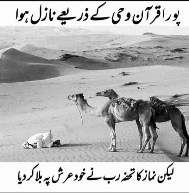 السلام علیکم جمعہ مبارک
