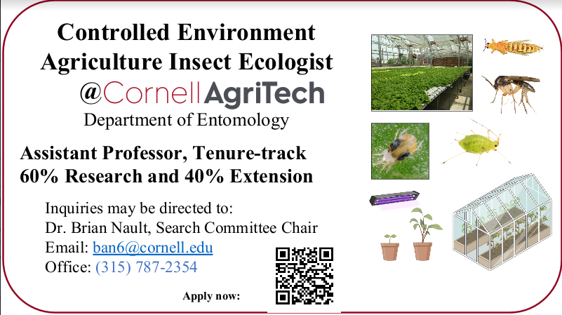 We are hiring! Come be my colleague and join a fantastic department!