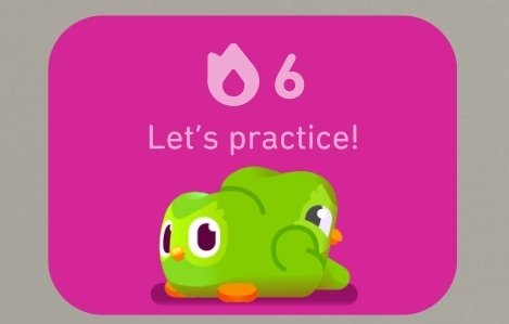 theteddymack's tweet photo. Hey @duolingo care to explain...? https://t.co/Qc9NcVRM9Z